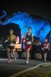 BIB: 
                            <button type="button" onclick="openModal(26531319)" class="btn btn-primary btn-sm float-right btn-popup" data-toggle="modal" data-target=".modal-high-quality">
                        <i class="fas fa-shopping-cart"></i> Add to Cart
                    </button>
                                            <button type="button" onclick="isThisMe(26531319, true)" class="btn btn-success btn-sm float-right btn-popup btn-isme hidden" data-toggle="tooltip" data-placement="bottom" title="นี่คือรูปของคุณใช่ไหม คลิกที่นี่เพื่อเอาเข้าอัลบั้ม">
                        <i class="fas fa-plus"></i> Add to album
                    </button>
                    <button type="button" onclick="isThisMe(26531319, false)" class="btn btn-warning btn-sm float-right btn-popup btn-isnotme hidden">
                        <i class="fas fa-ban"></i> Remove from album
                    </button>